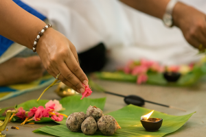 Pitru Dosha: Understanding the Ancestral Connection in Your Life